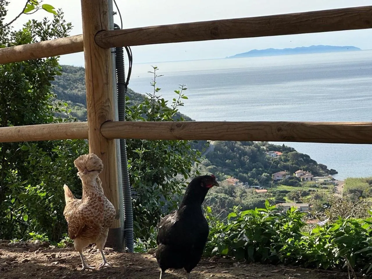 Appartamento B&B Locanda del Borgo Agriturismo La Paradisa Rio dellʼElba Italia