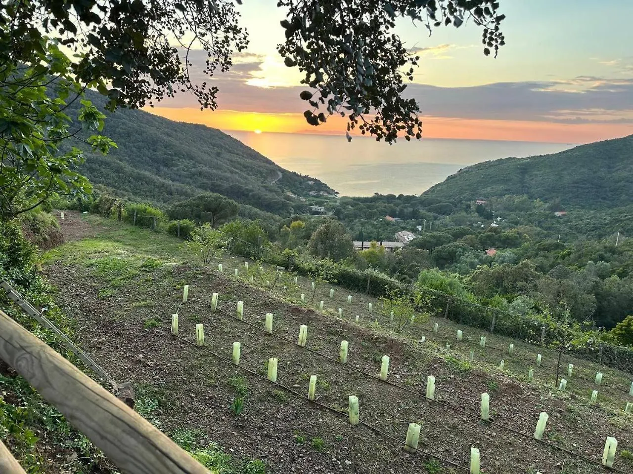 B&B Locanda del Borgo Agriturismo La Paradisa Rio dellʼElba Appartamento
