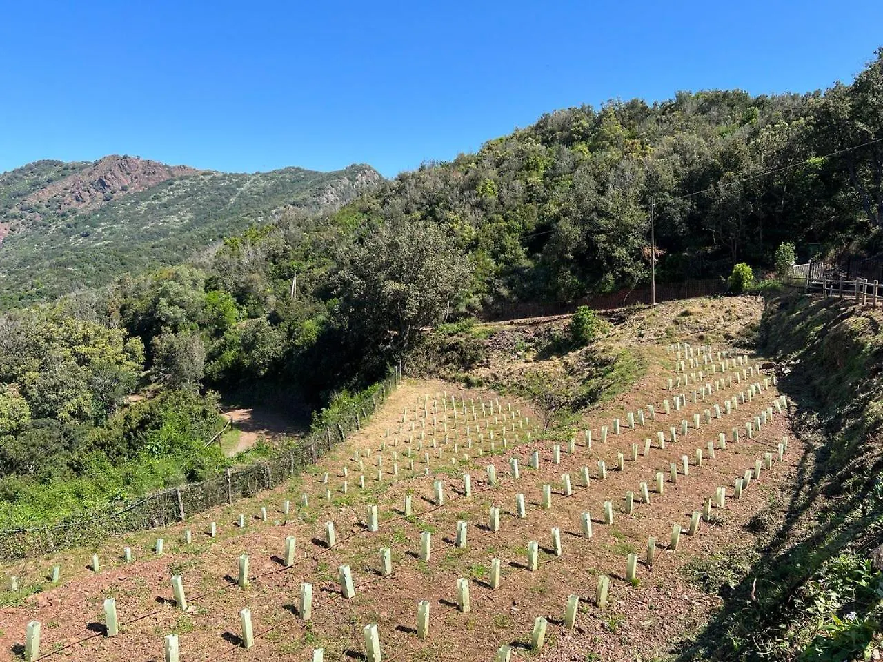 B&B Locanda del Borgo Agriturismo La Paradisa Rio dellʼElba