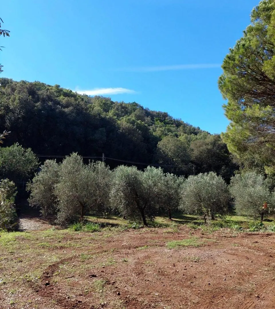 Agriturismo Paradisa Rio dellʼElba