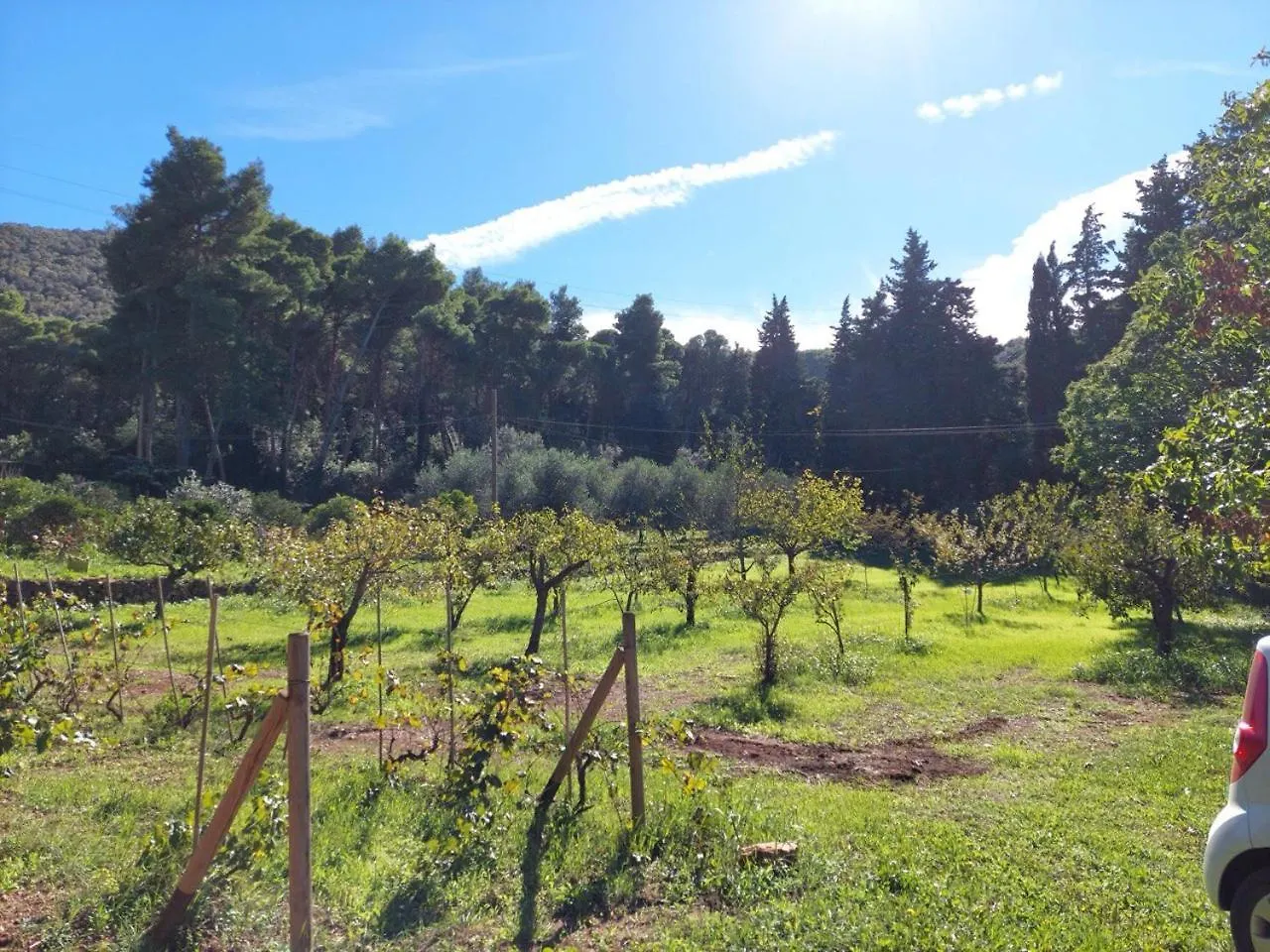 Apartment Agriturismo Paradisa Rio nell'Elba Italy